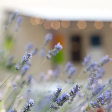 Logis Le Mistral - Restaurant - Montelimar Sud Otel