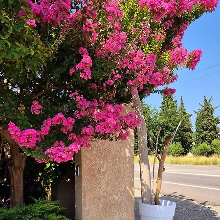 Hotel Logis Le Mistral - Montélimar Sud 3*