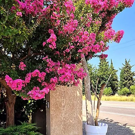 Hotel Logis Le Mistral - Montélimar Sud 3*