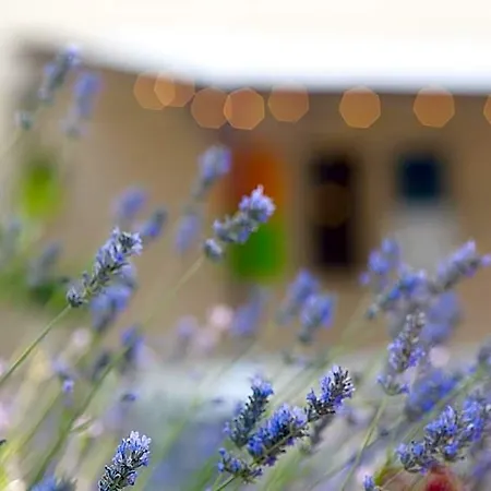 Logis Le Mistral - Montélimar Sud Hotel 3*